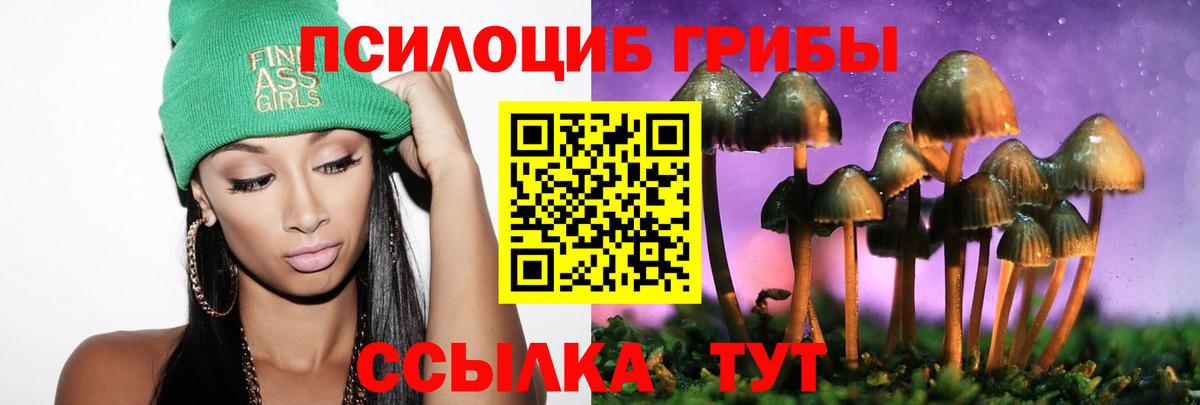 Галлюциногенные грибы мицелий Прохладный